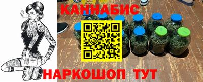 мдпв Рузаевка