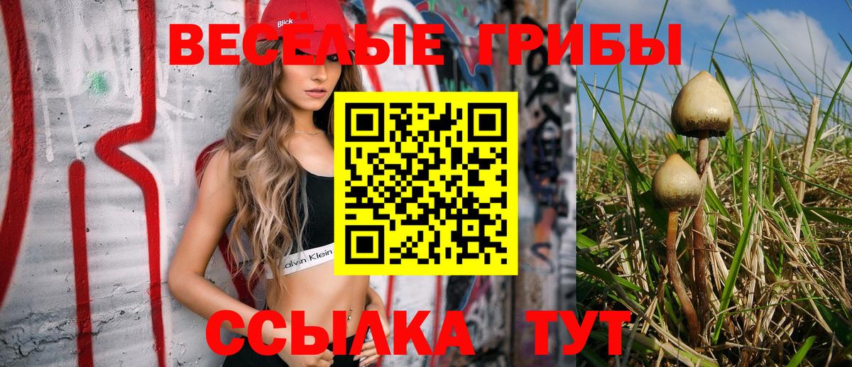 Галлюциногенные грибы ЛСД Новый Уренгой
